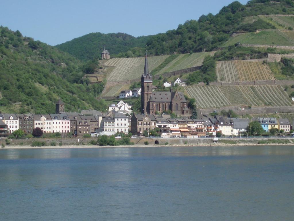 Weingut Theodor Nies Daire Lorch am Rhein Dış mekan fotoğraf