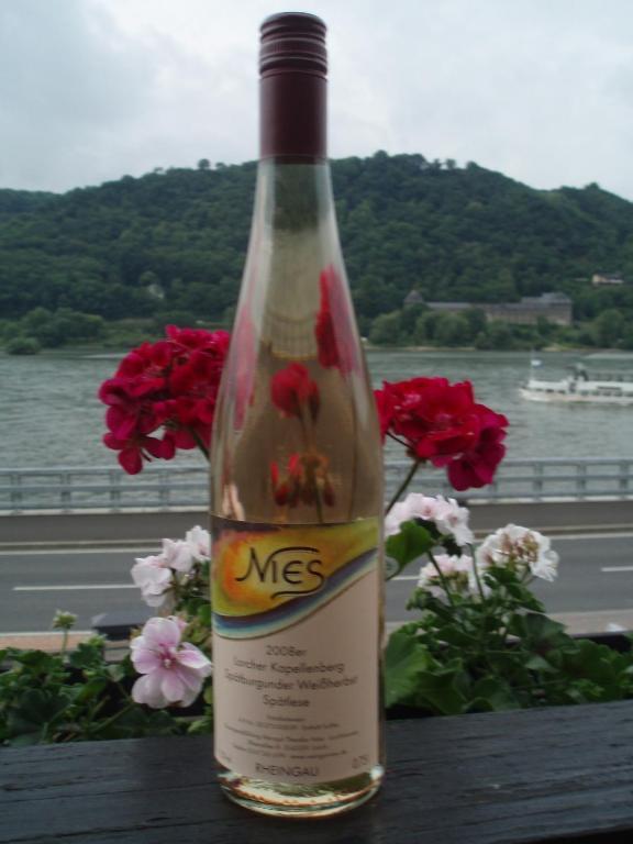 Weingut Theodor Nies Daire Lorch am Rhein Dış mekan fotoğraf