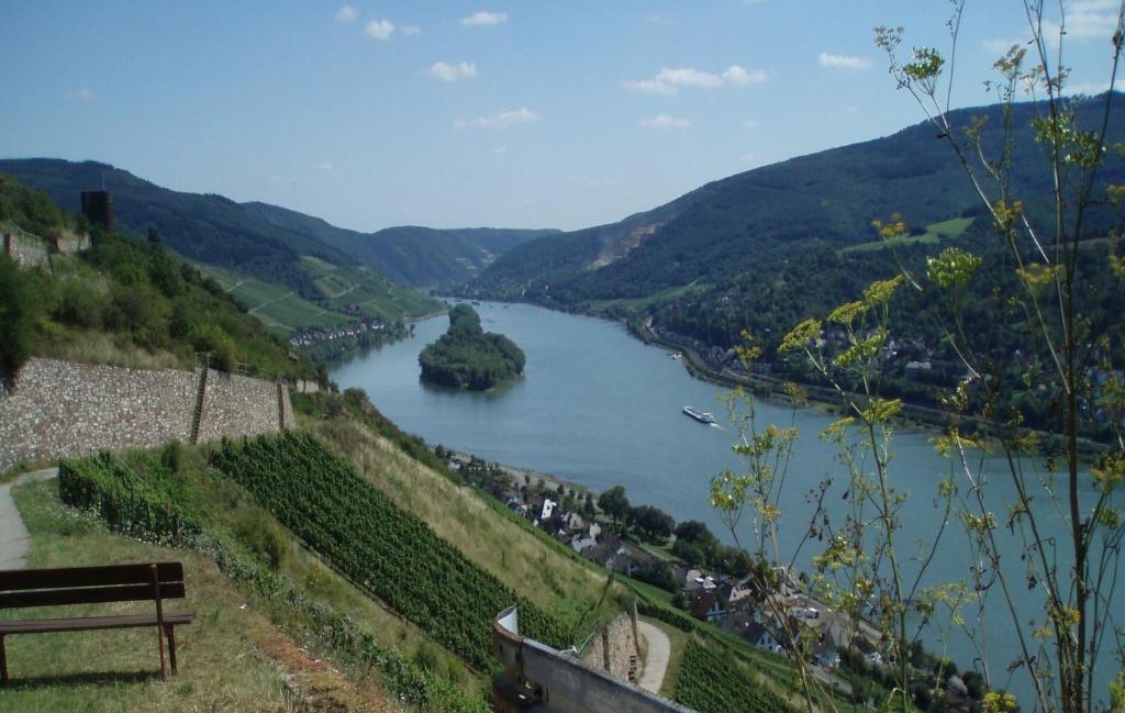 Weingut Theodor Nies Daire Lorch am Rhein Dış mekan fotoğraf