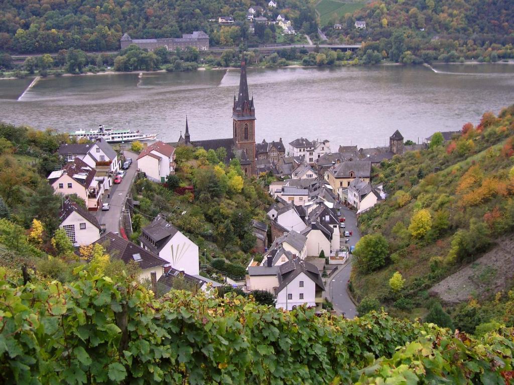 Weingut Theodor Nies Daire Lorch am Rhein Dış mekan fotoğraf