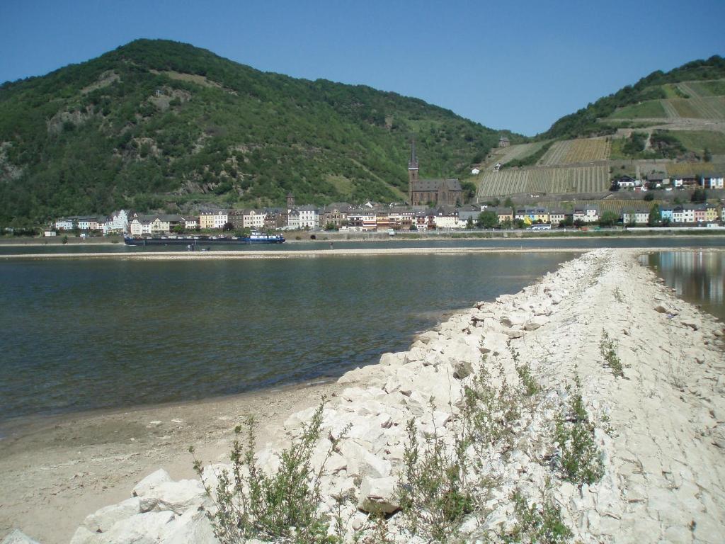 Weingut Theodor Nies Daire Lorch am Rhein Dış mekan fotoğraf